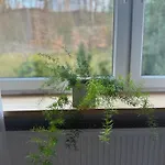 Appartement W Kamienicy