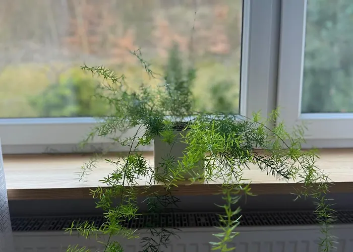 Appartamento W Kamienicy